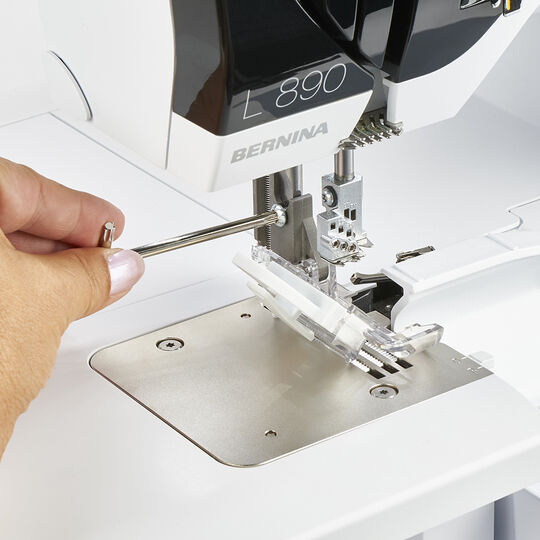 XL Paspelfuss image number